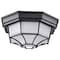 Nuvo LED Spider Cage Fixture, Black Finish with Frosted Glass 62/1400 - alternate 1